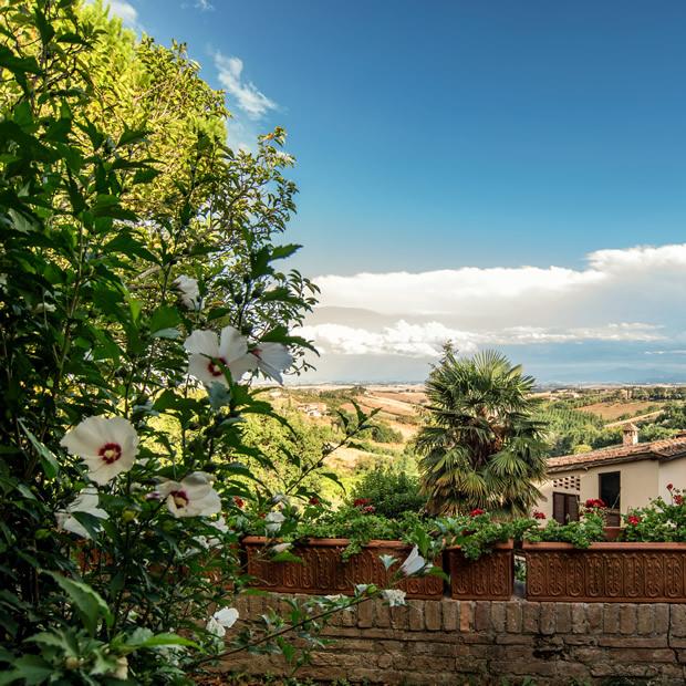 Villa Grassina Agriturismo — foto 7